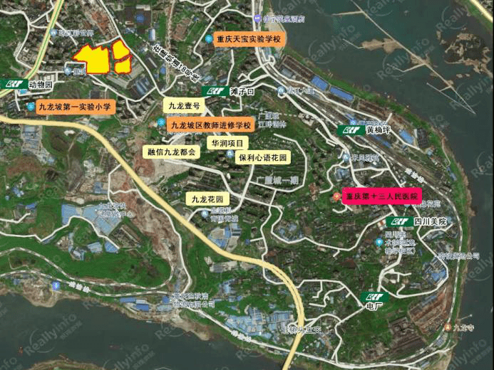 揭秘九龙半岛最新重磅消息📢🌆
