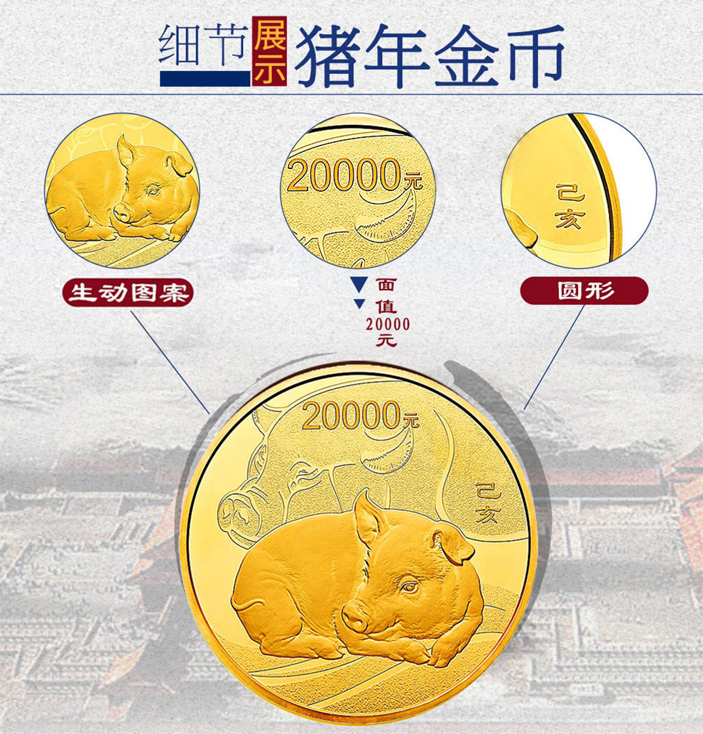 猪年纪念币最新价格分析与论述，最新市场动态揭秘！