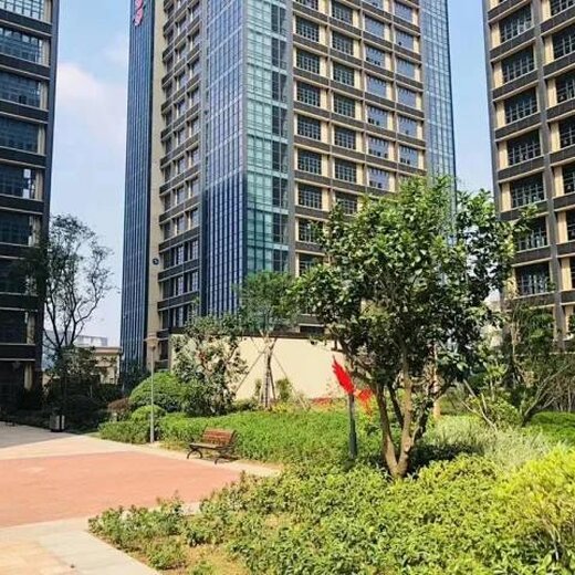中山臻华花园最新房价，科技前沿与生活共融的居住体验