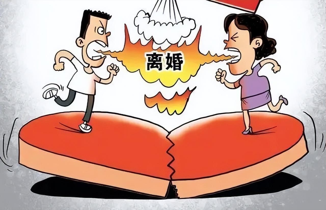 最新离婚协议书，时代变迁下的角色重塑与离婚思考