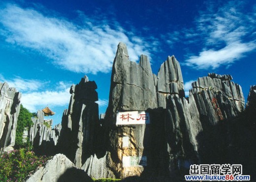 石林县城最新招聘，双休工作职位热招中