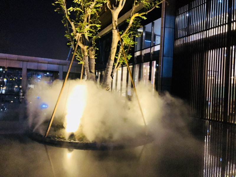 长沙大唐印象最新动态更新