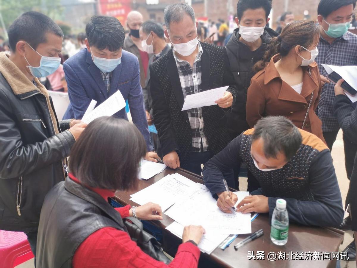 阳新最新招聘信息，科技革新引领职场新篇章
