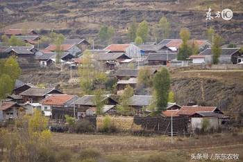 农村预留地最新政策详解，背景、进展与影响全面解析